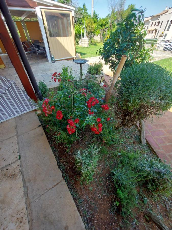 Guesthouse Istra Premantura Exterior foto